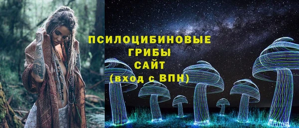 гидра Абаза