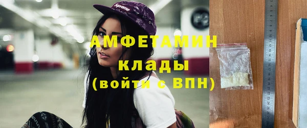 гидра Абаза