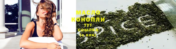 гидра Абаза