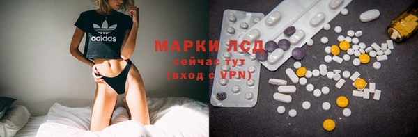 хмурый Алексин