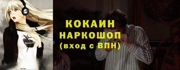 гидра Абаза