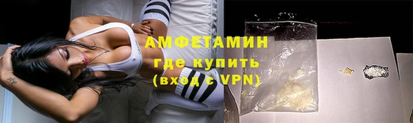 гидра Абаза