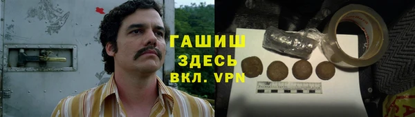 гидра Абаза